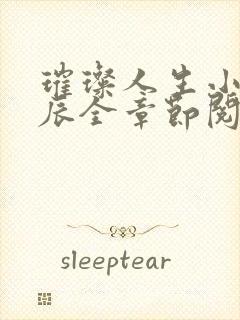 璀璨人生小说叶辰全章节阅读