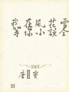 我在风花雪月里等你小说全文txt下载