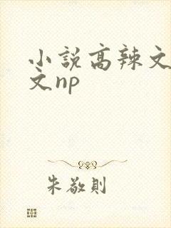 小说高辣文高h文np