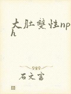 大肚双性np高h封面
