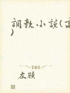 调教小说(高h)