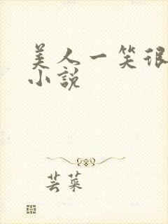 美人一笑很倾城小说