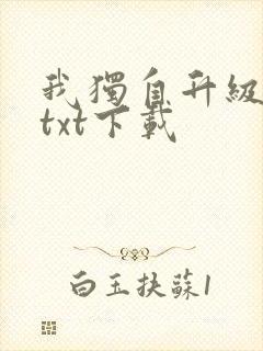 我独自升级原著txt下载