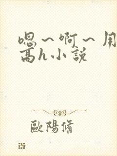 嗯～啊～用力～高h小说封面