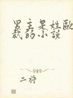 男主是姓欧的总裁的小说