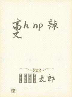 高h np 辣文封面
