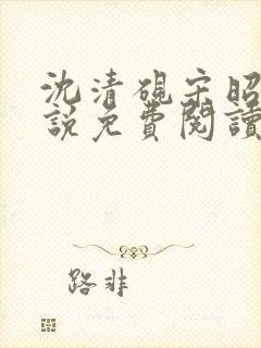 沈清砚宋昭汐小说免费阅读最新章节