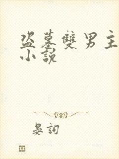 盗墓双男主推荐小说