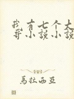 我有七个大佬哥哥小说小说封面