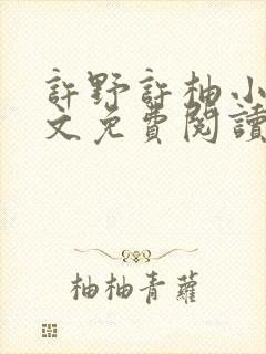 许野许柚小说全文免费阅读最新章节