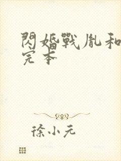 闪婚战胤和海彤完本封面