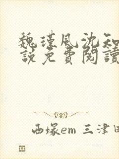 魏瑾风沈知玉小说免费阅读最新章节