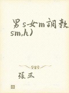 男s女m调教(sm,h)