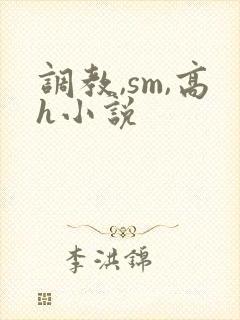 调教,sm,高h小说