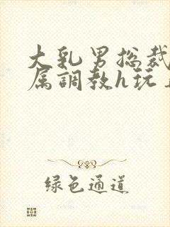 大乳男总裁被下属调教h玩弄