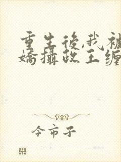 重生后,我被病娇摄政王缠上了全本txt下载