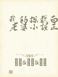 我的总裁白富美老婆小说正版