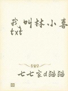我叫林小喜小说txt