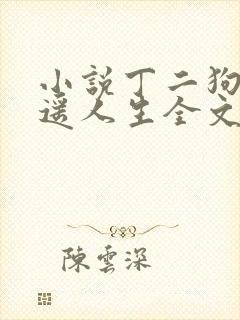 小说丁二狗的逍遥人生全文免费阅读