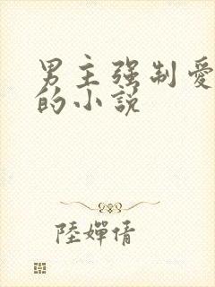 男主强制爱女主的小说