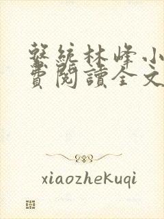 系统林峰小说免费阅读全文最新章节