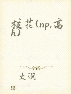 校花(np,高h)封面