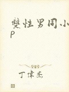 双性男同小说np