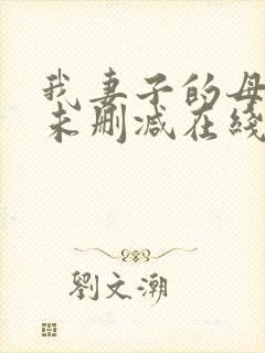 我妻子的母亲2未删减在线播放