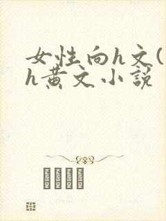 女性向h文(高h黄文小说封面
