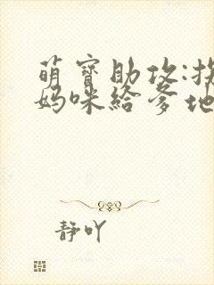 萌宝助攻:拐个妈咪给爹地封面