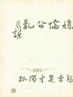 《乱公伦媳》小说封面