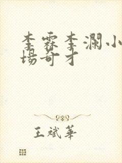 李霖李澜小说官场奇才