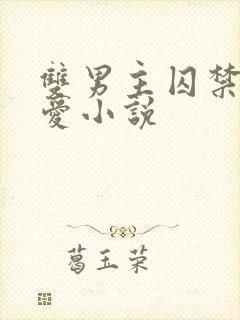 双男主囚禁强制爱小说封面