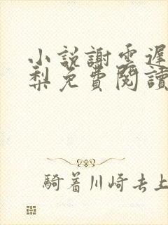 小说谢云迟沈晚梨免费阅读