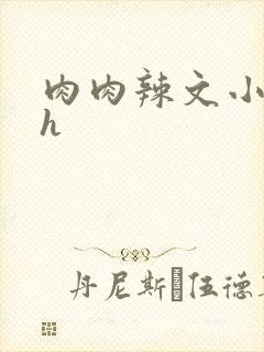 肉肉辣文小说高h封面