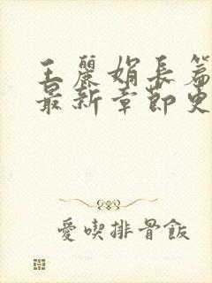 王丽娟长篇小说最新章节更新