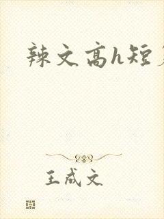 辣文高h短篇