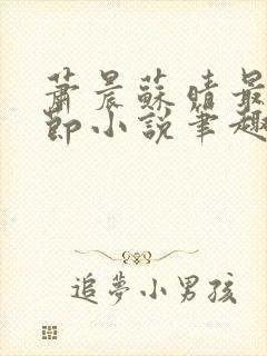 萧晨苏晴最新章节小说笔趣阁封面