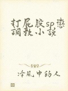 打屁股sp惩罚调教小说封面