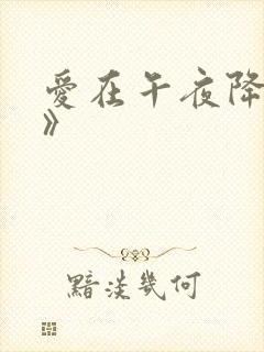 爱在午夜降临前》