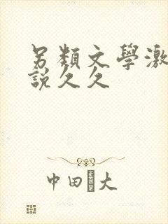 另类文学激情小说久久