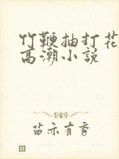 竹鞭抽打花蒂h高潮小说