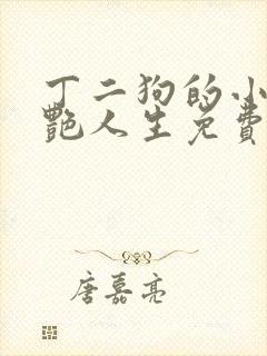 丁二狗的小说猎艳人生免费阅读全文