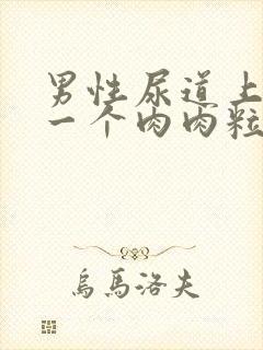 男性尿道上长了一个肉肉粒