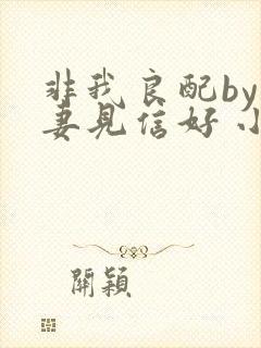 非我良配by吾妻见信好 小说免费阅读封面