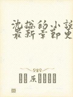 沈总的小说全文最新章节更新