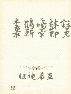 李鹤鸣林钰小说最新章节免费阅读