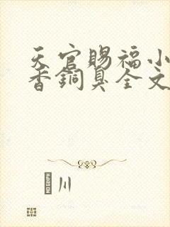 天官赐福小说墨香铜臭全文免费阅读