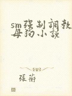 sm强制调教小母狗小说
