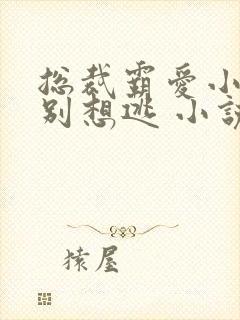 总裁霸爱小娇妻别想逃 小说免费阅读